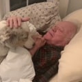Do Australian Shepherds Love to Cuddle?